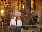 DSC01331_800x600