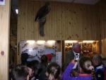 DSC01342_800x600
