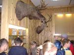 DSC01343_800x600