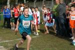 IMG_10_800x534