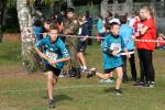 IMG_11_800x534