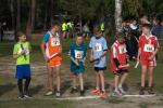 IMG_3_800x533