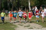 IMG_4_800x533