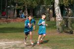 IMG_8_800x534