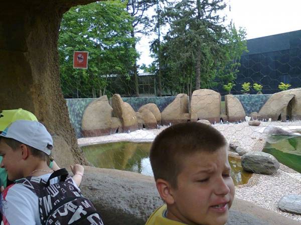 Zdjęcie0259a